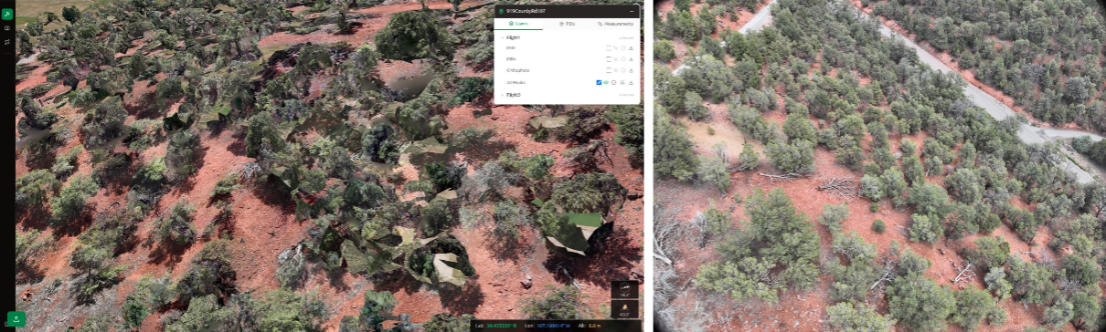 Figure 2: Nadir photogrammetry understory gaps versus 45° oblique view