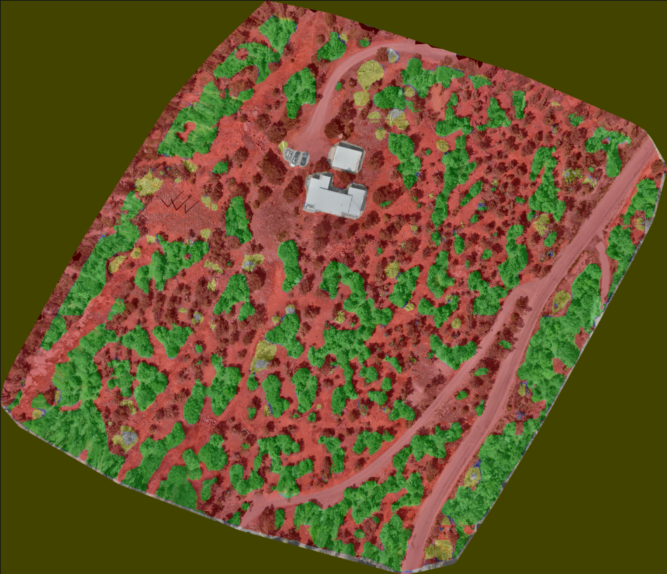 Figure 1: Wildfire fuels classification overlaid on orthophoto
